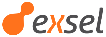 Exsel