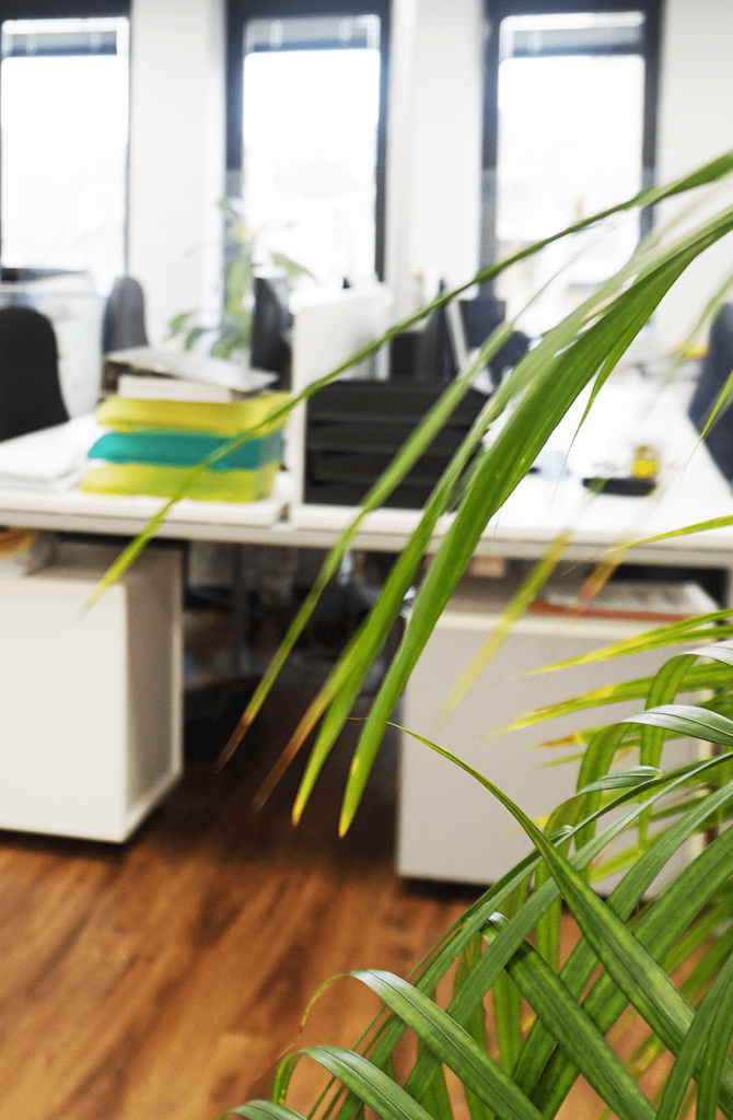 Interior de las oficinas de Solvento Consulting en Barcelona